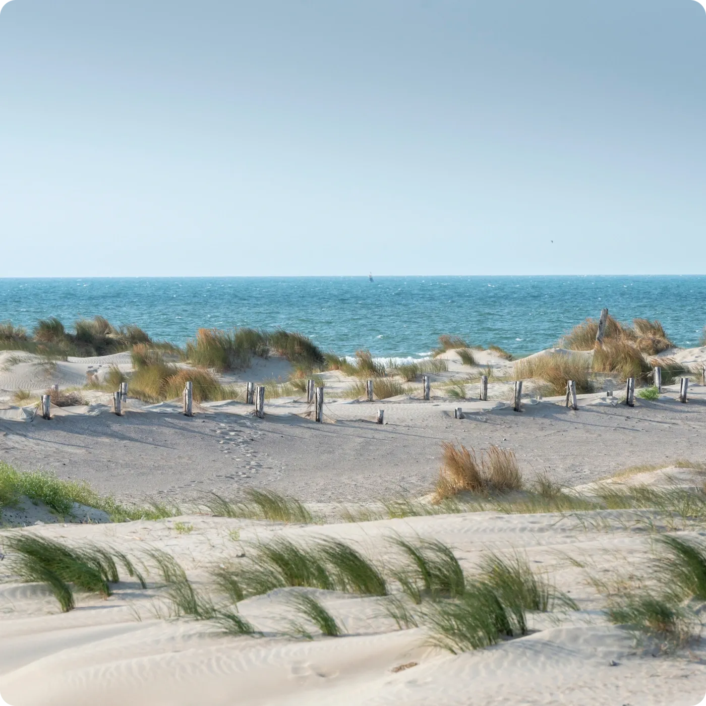 Les dunes à Dunkerque